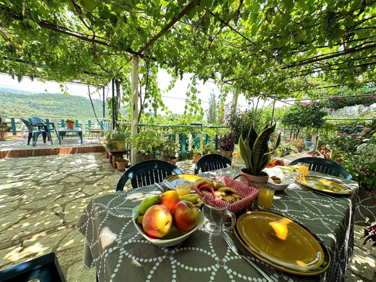 Boungainvillea Χειμάρρα Εξωτερικό φωτογραφία