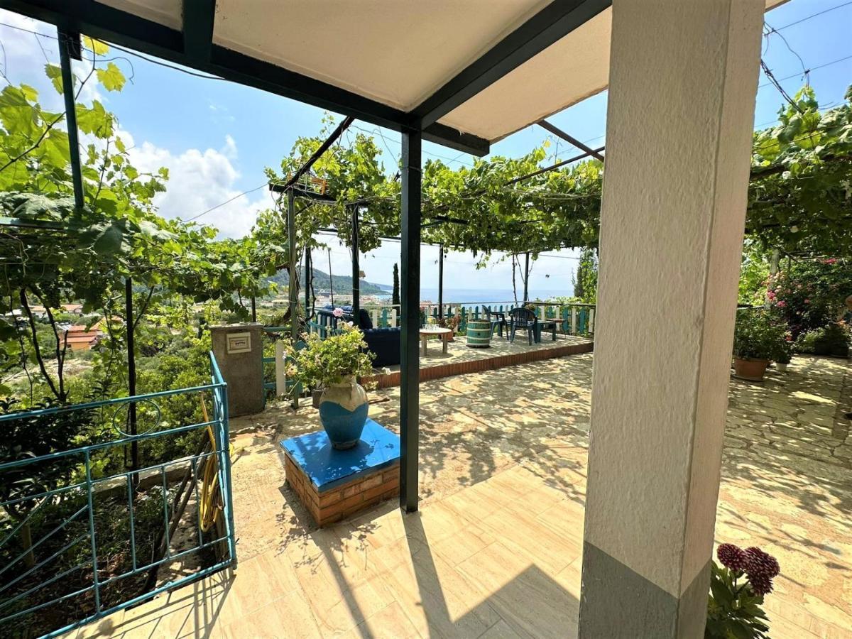Boungainvillea Χειμάρρα Εξωτερικό φωτογραφία