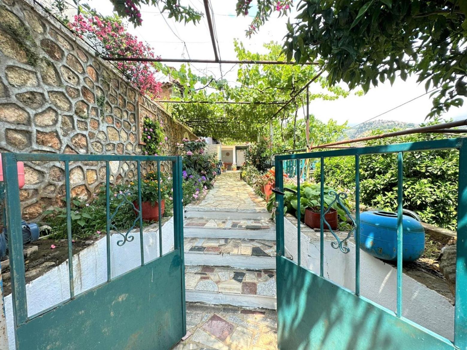 Boungainvillea Χειμάρρα Εξωτερικό φωτογραφία