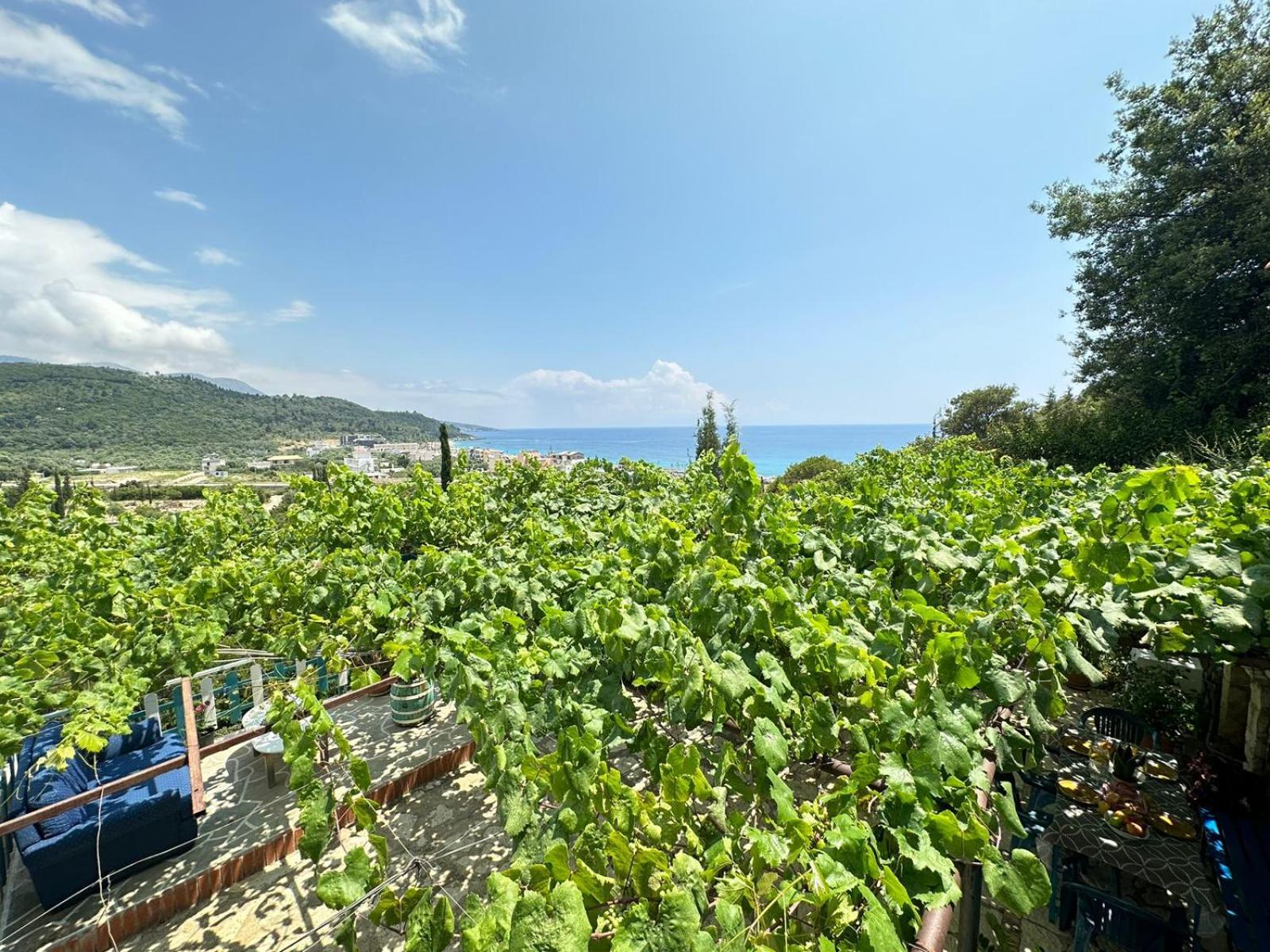 Boungainvillea Χειμάρρα Εξωτερικό φωτογραφία