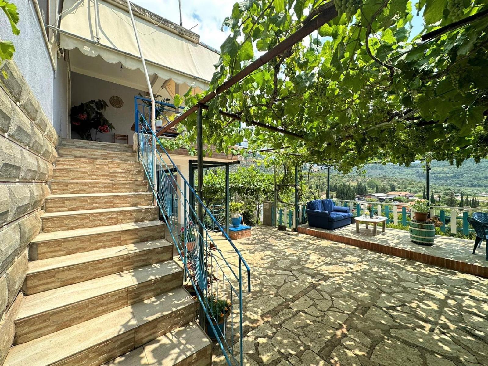 Boungainvillea Χειμάρρα Εξωτερικό φωτογραφία