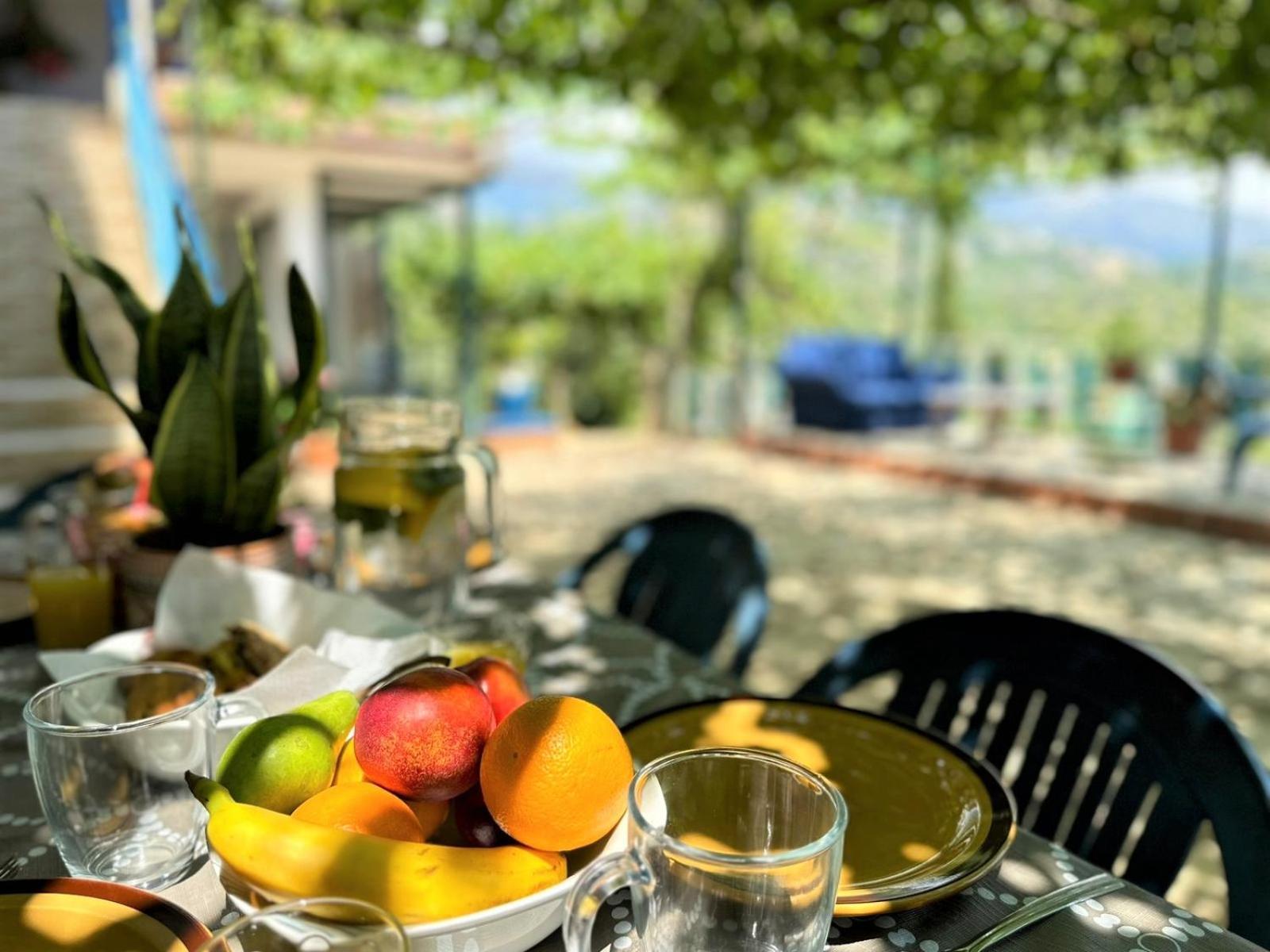 Boungainvillea Χειμάρρα Εξωτερικό φωτογραφία